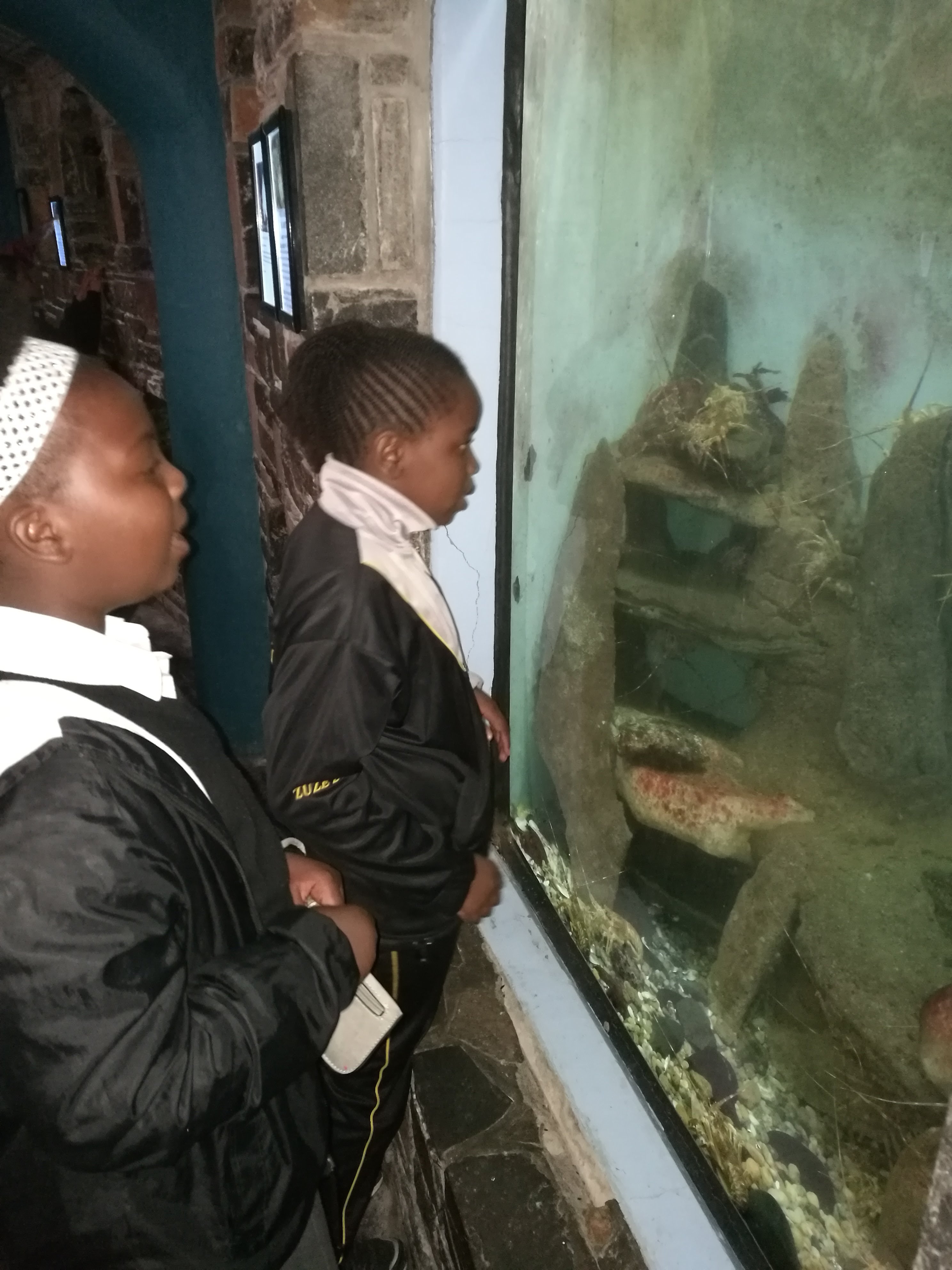 Students learning about marine ecosystems